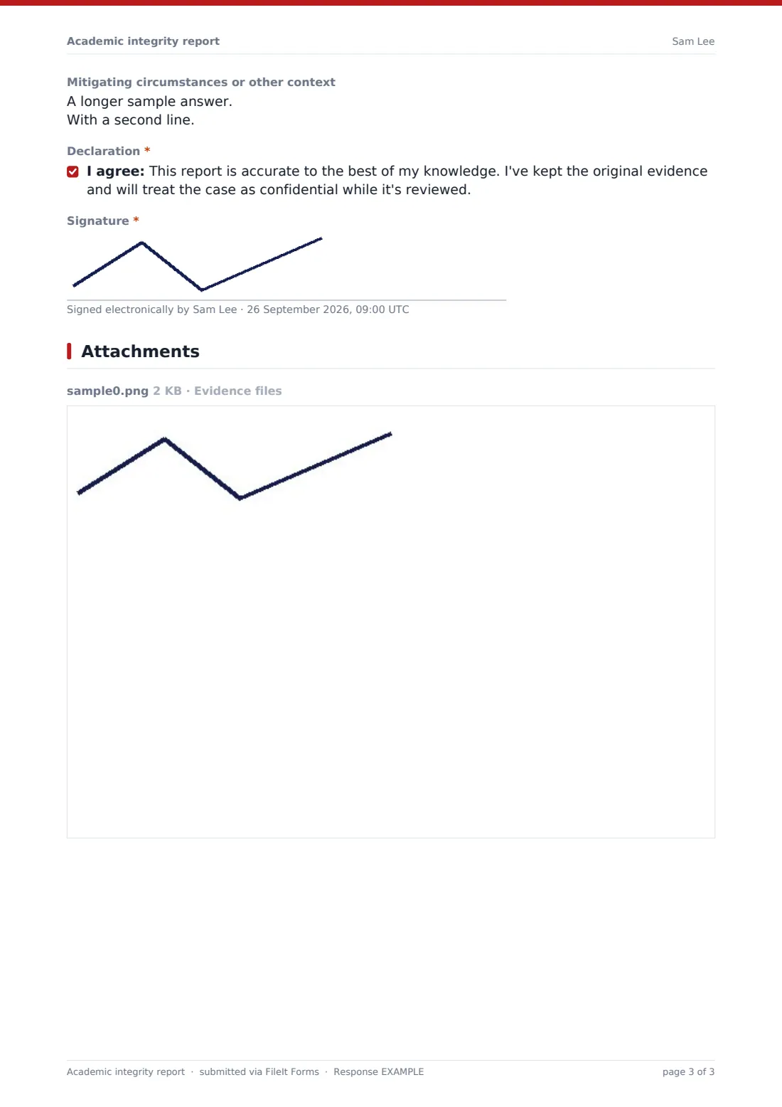 Academic integrity report — example response PDF, page 3 of 3