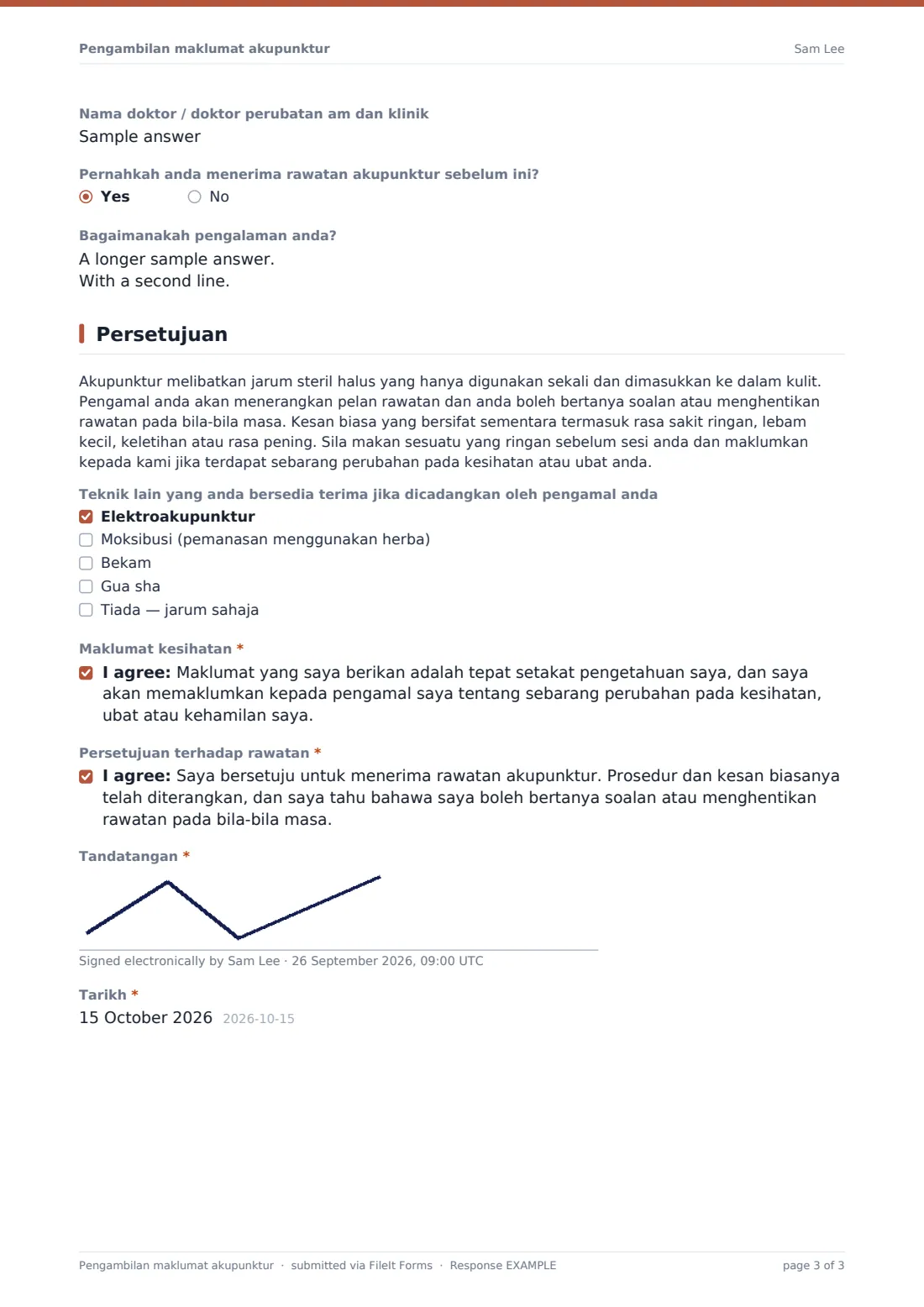 Pengambilan maklumat akupunktur — PDF respons contoh, halaman 3 daripada 3