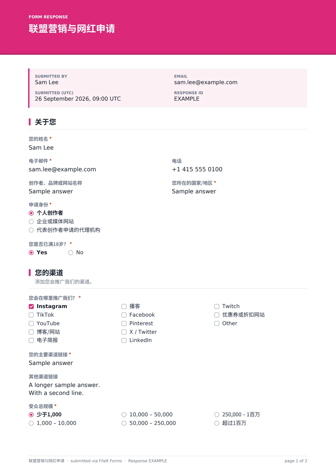 联盟营销与网红申请 — 示例回复 PDF，第 1 页，共 3 页