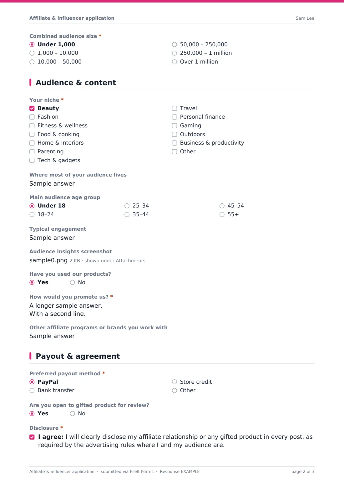 Affiliate & influencer application — example response PDF, page 2 of 3
