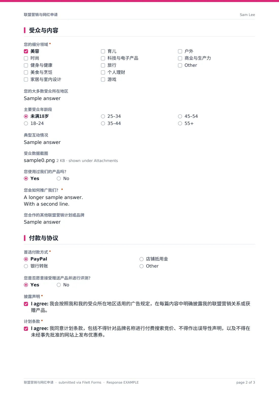 联盟营销与网红申请 — 示例回复 PDF，第 2 页，共 3 页