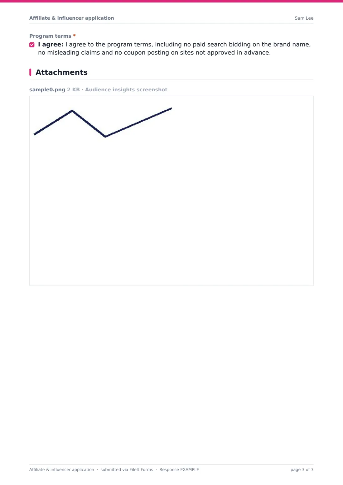 Affiliate & influencer application — example response PDF, page 3 of 3