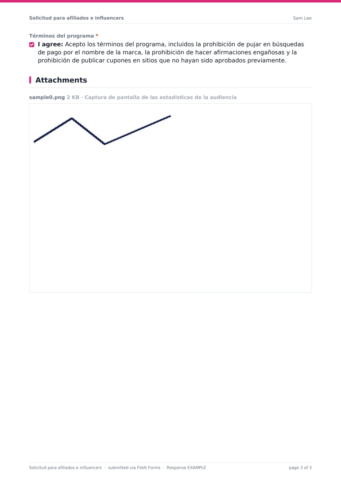 Solicitud para afiliados e influencers — PDF de respuesta de ejemplo, página 3 de 3