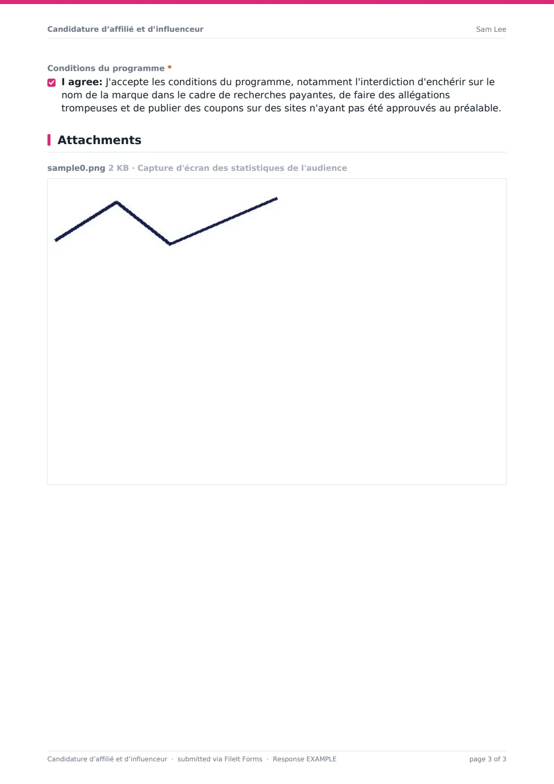 Candidature d’affilié et d’influenceur — exemple de réponse au format PDF, page 3 sur 3
