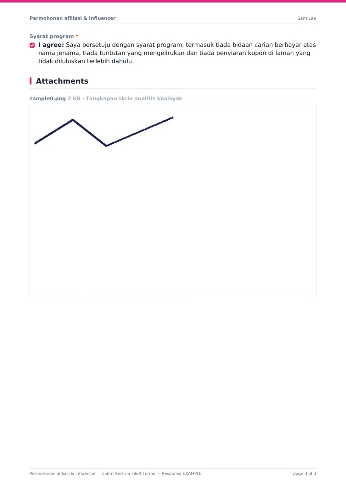 Permohonan afiliasi & influencer — PDF respons contoh, halaman 3 daripada 3