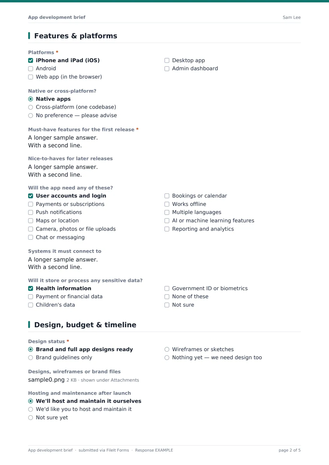 App development brief — example response PDF, page 2 of 5