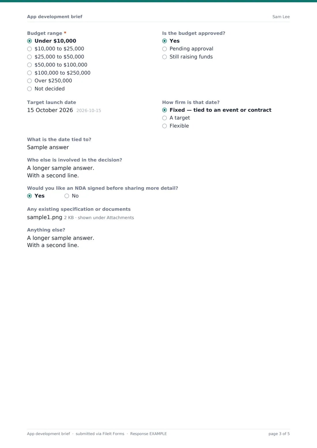 App development brief — example response PDF, page 3 of 5