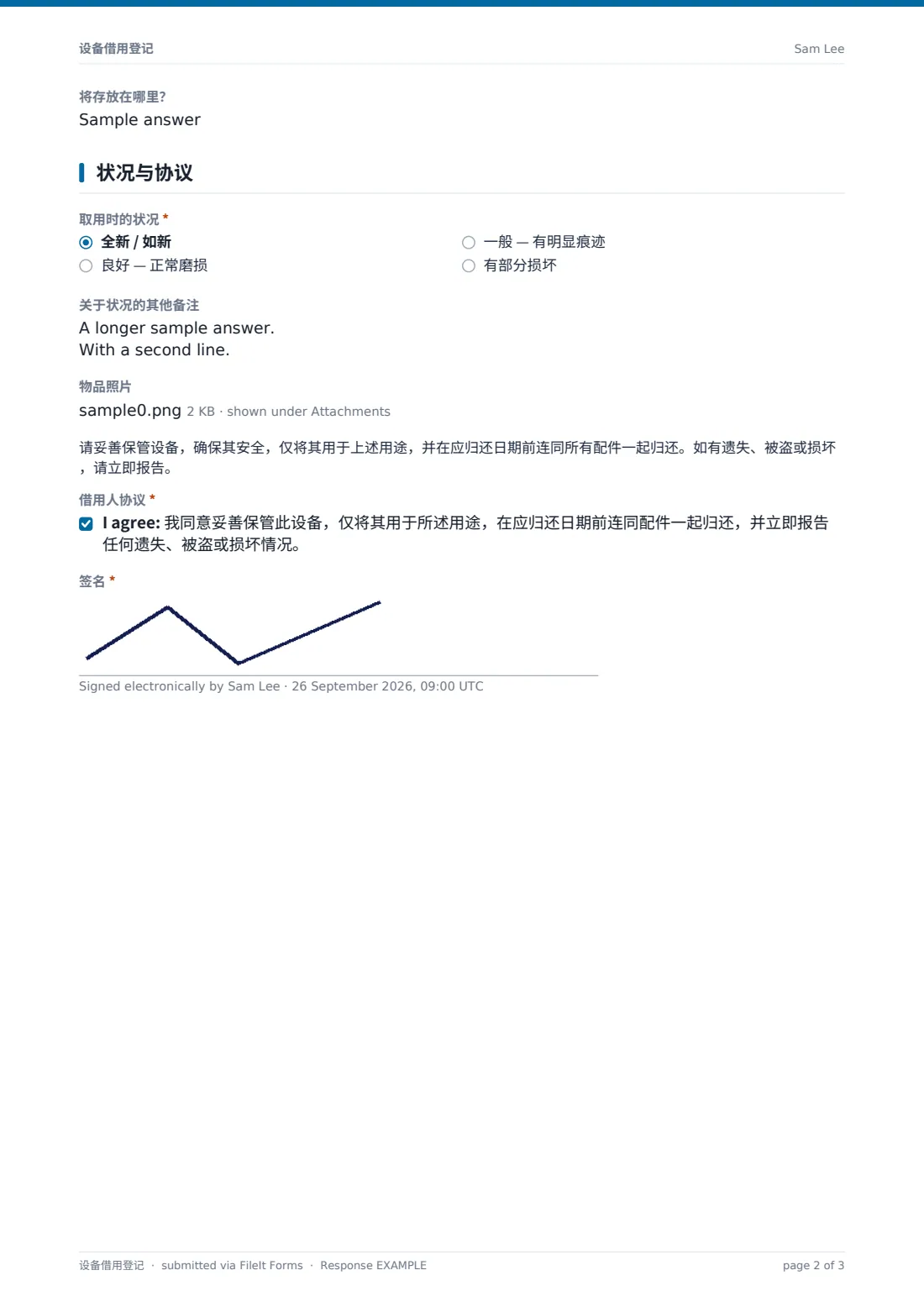 设备借用登记 — 示例回复 PDF，第 2 页，共 3 页