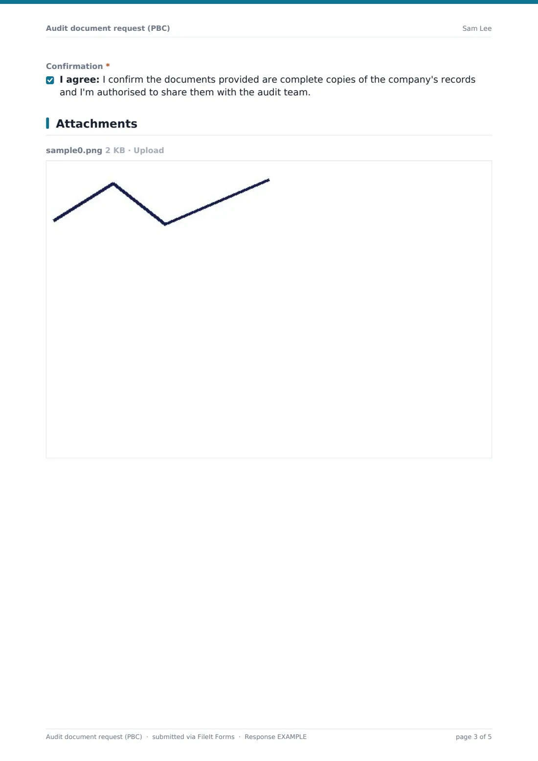 Audit document request (PBC) — example response PDF, page 3 of 5