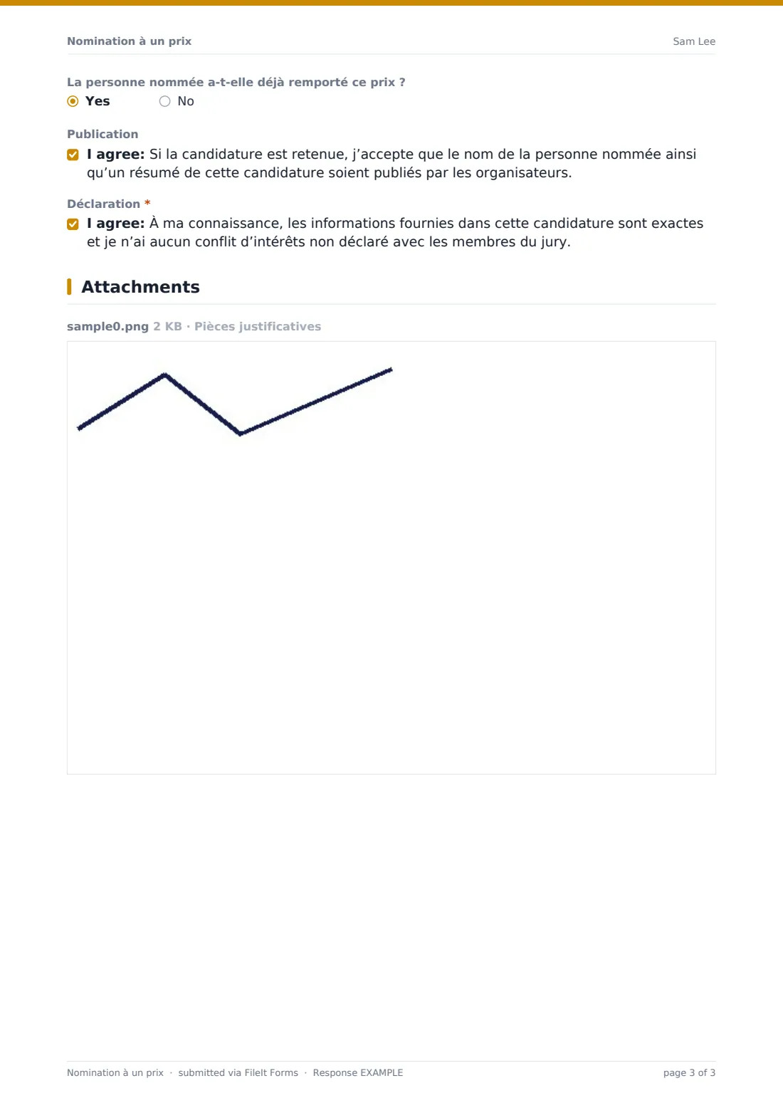 Nomination à un prix — exemple de réponse au format PDF, page 3 sur 3