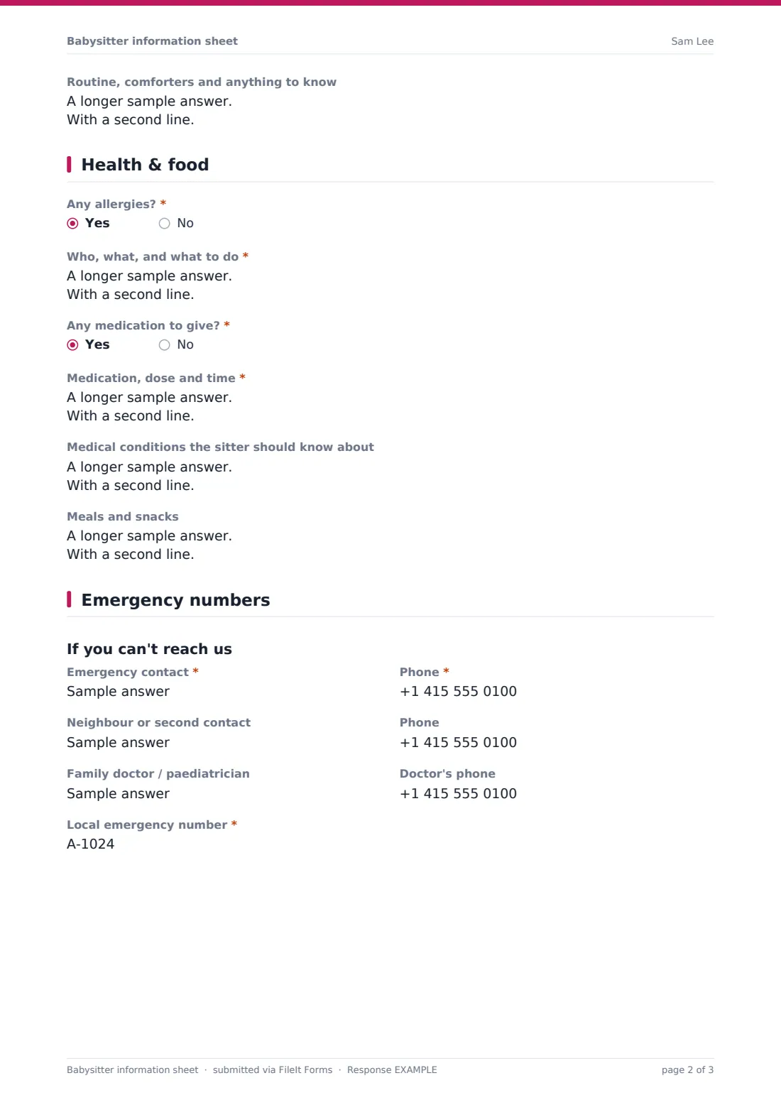 Babysitter information sheet — example response PDF, page 2 of 3