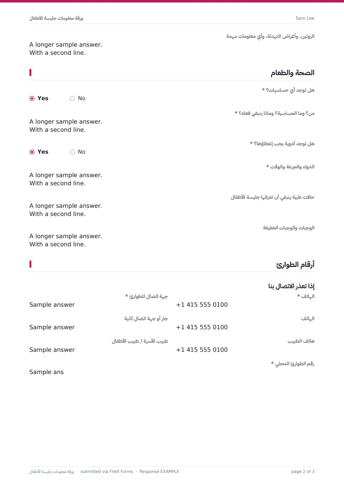 ورقة معلومات جليسة الأطفال — ملف PDF لرد نموذجي، الصفحة 2 من 3