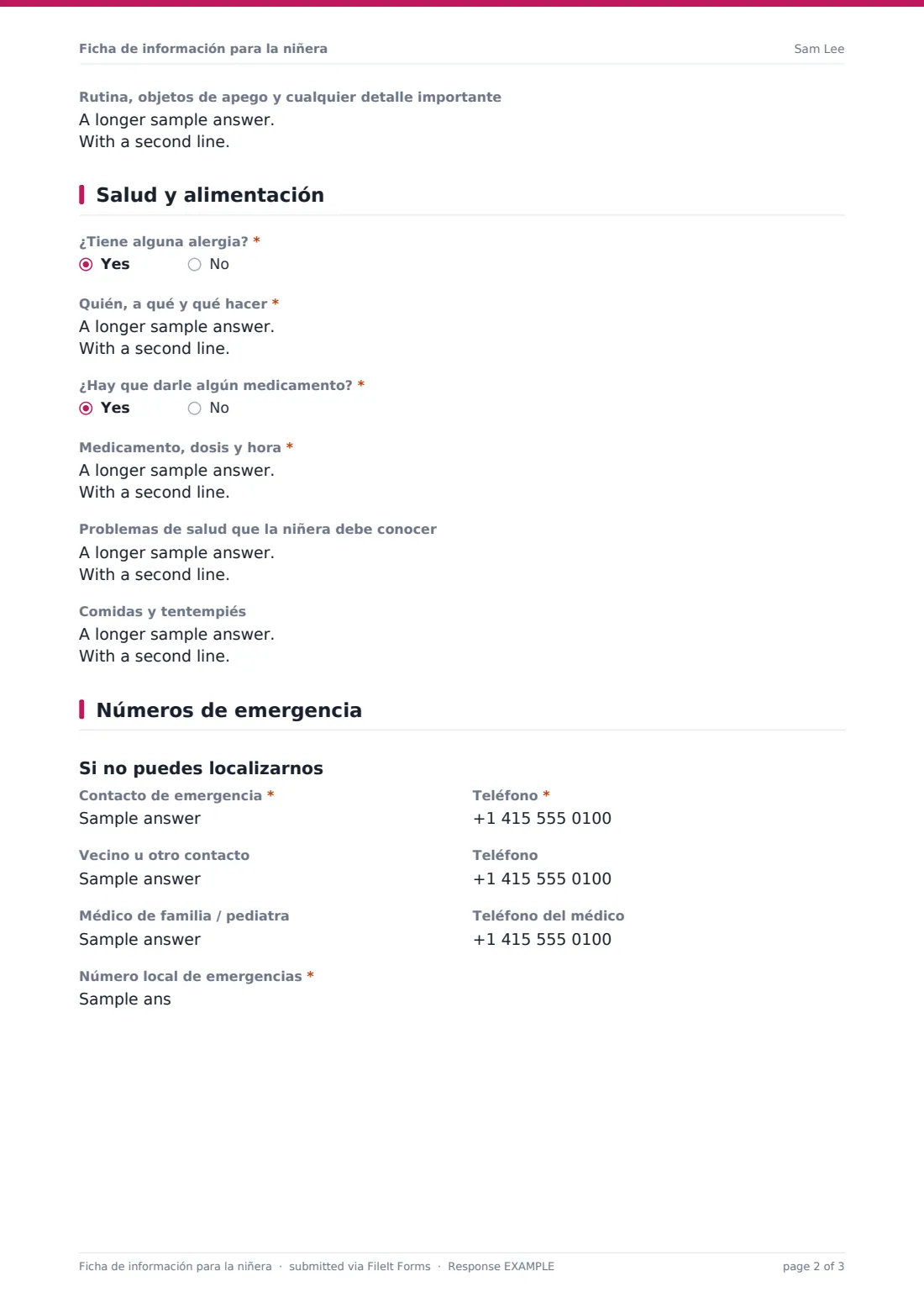 Ficha de información para la niñera — PDF de respuesta de ejemplo, página 2 de 3