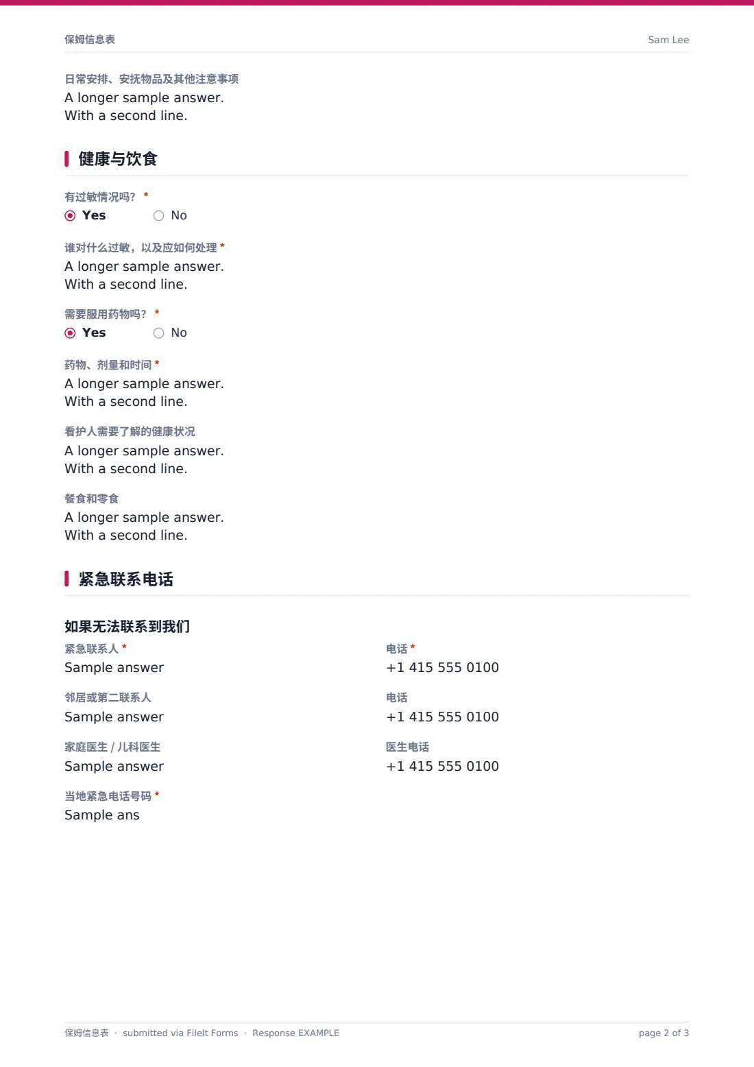 保姆信息表 — 示例回复 PDF，第 2 页，共 3 页