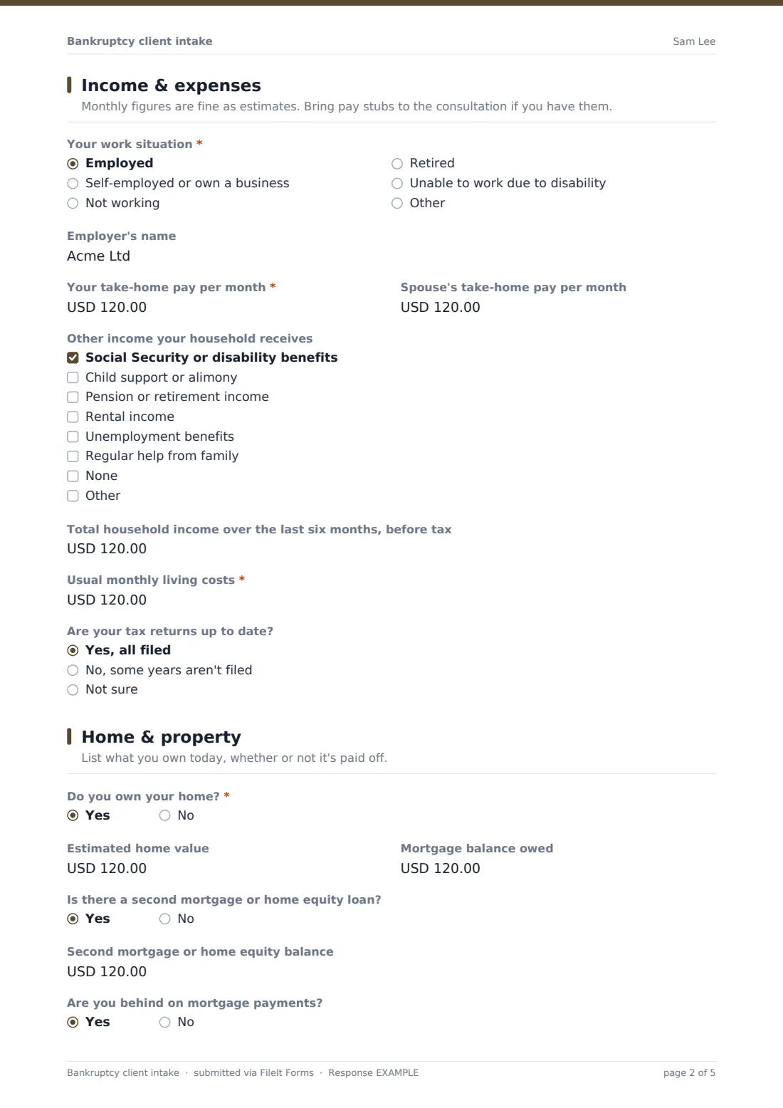 Bankruptcy client intake — example response PDF, page 2 of 5