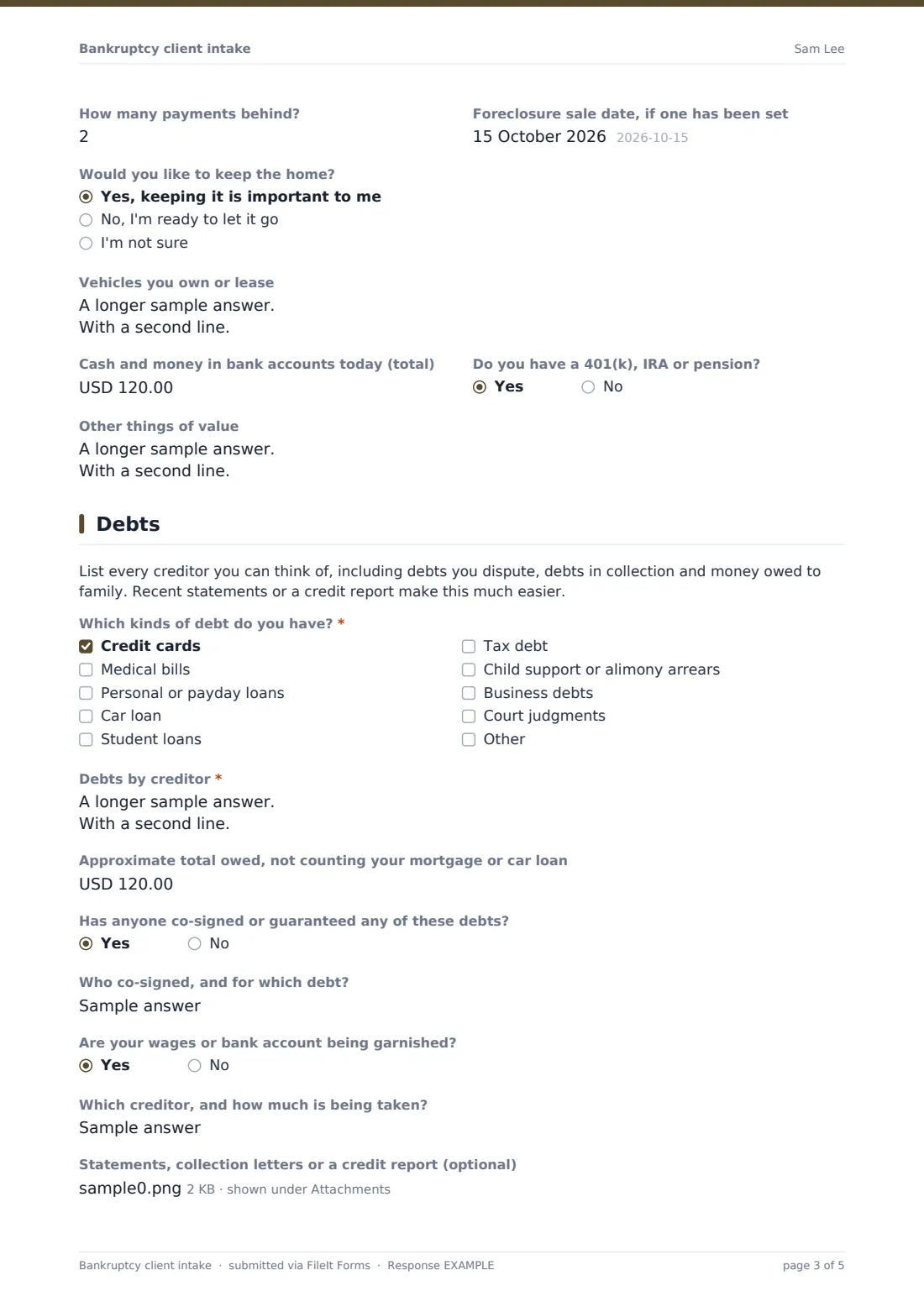 Bankruptcy client intake — example response PDF, page 3 of 5