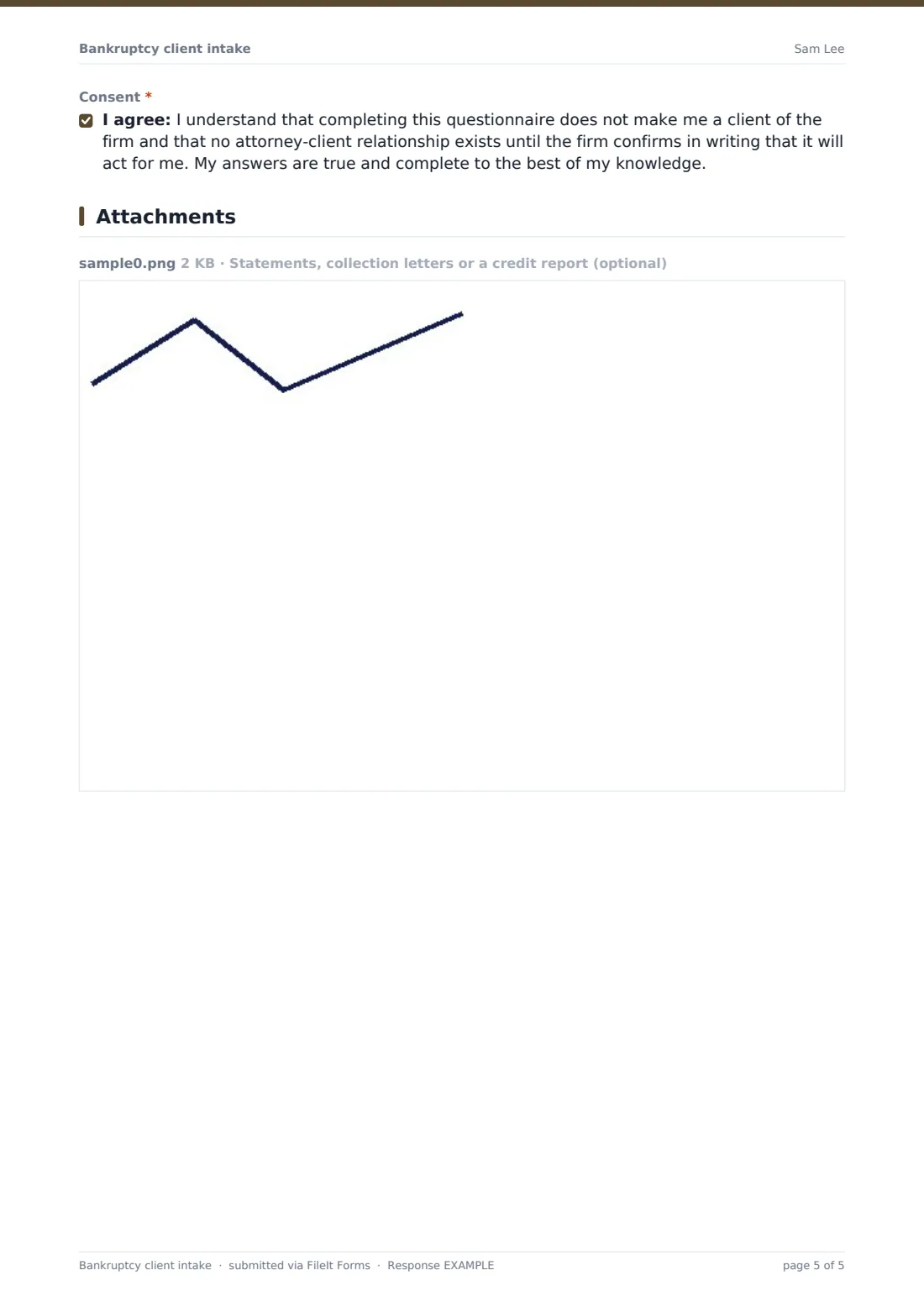 Bankruptcy client intake — example response PDF, page 5 of 5