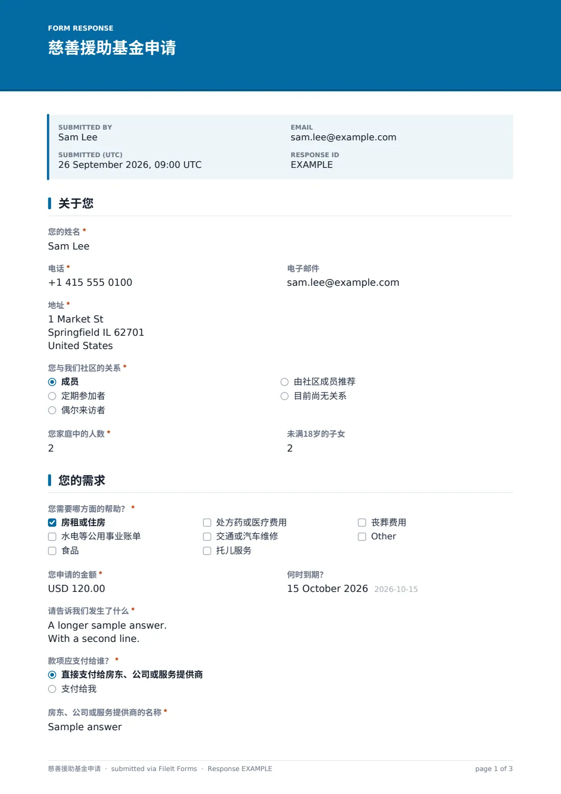 慈善援助基金申请 — 示例回复 PDF，第 1 页，共 3 页