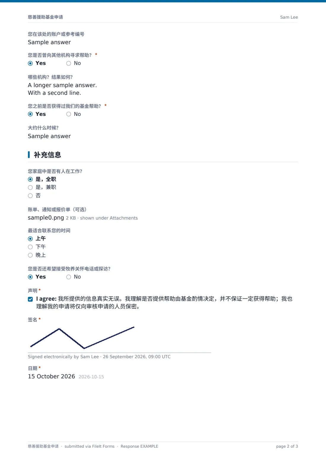 慈善援助基金申请 — 示例回复 PDF，第 2 页，共 3 页