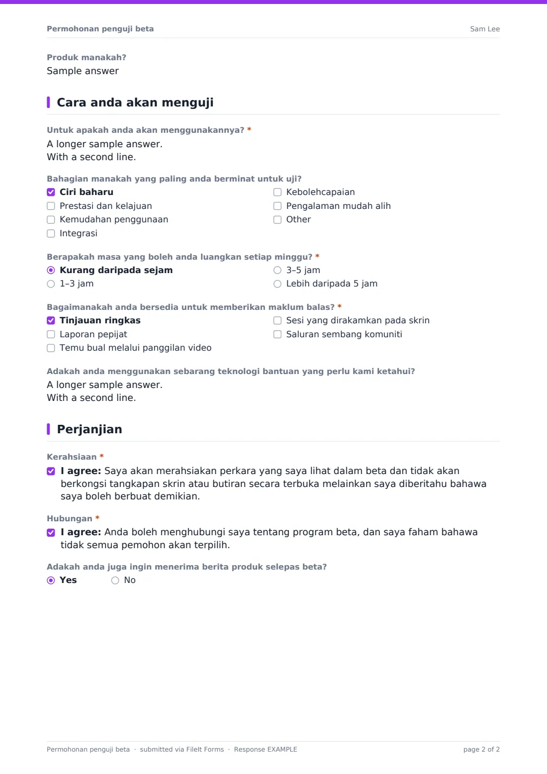 Permohonan penguji beta — PDF respons contoh, halaman 2 daripada 2