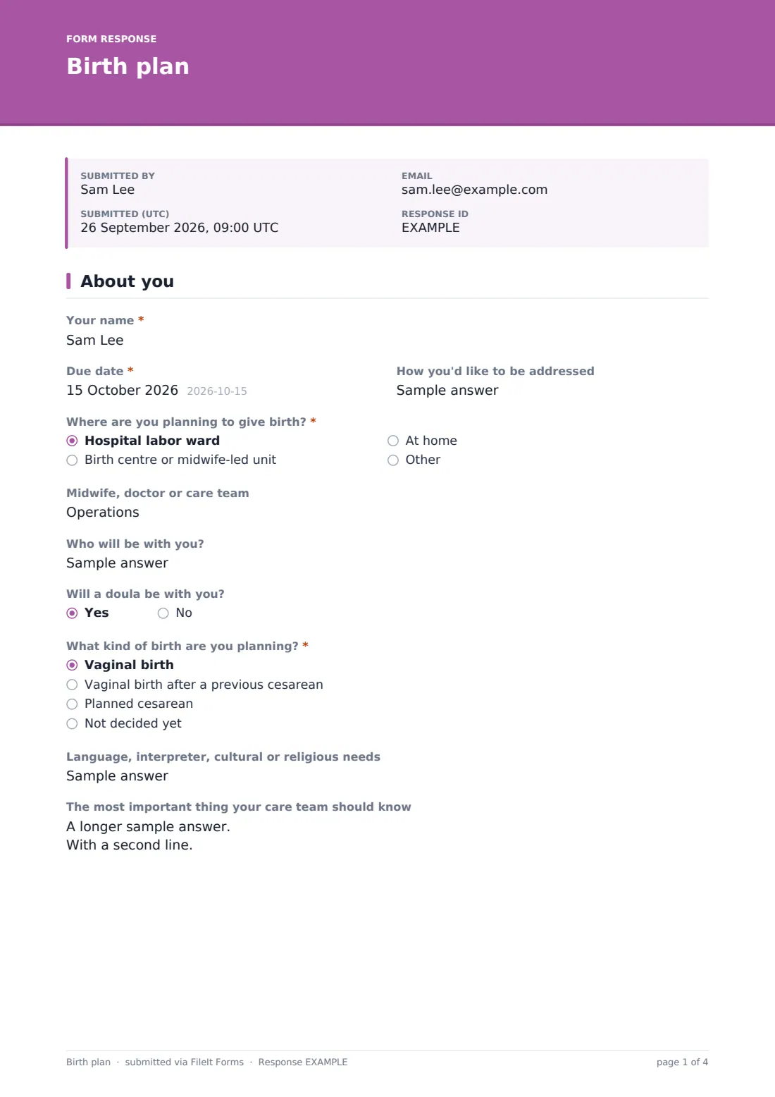 Birth plan — example response PDF, page 1 of 4