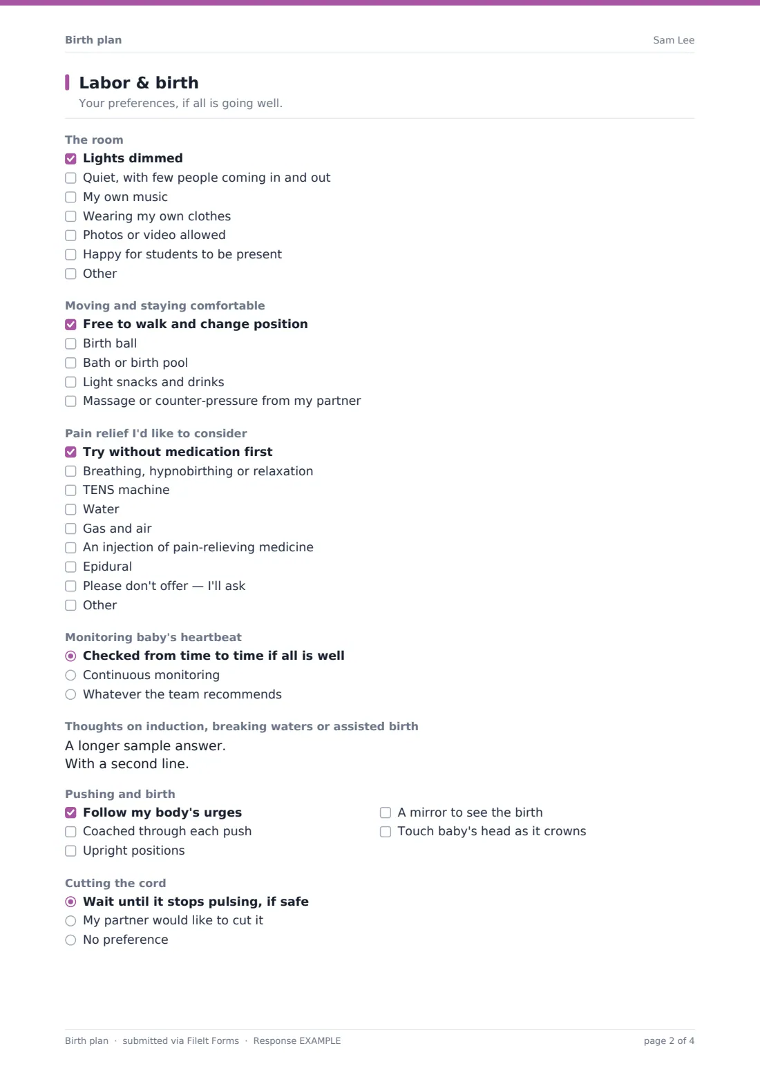Birth plan — example response PDF, page 2 of 4