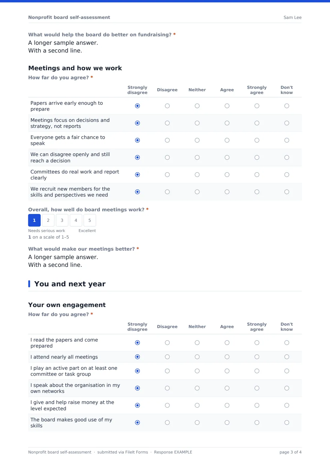 Nonprofit board self-assessment — example response PDF, page 3 of 4