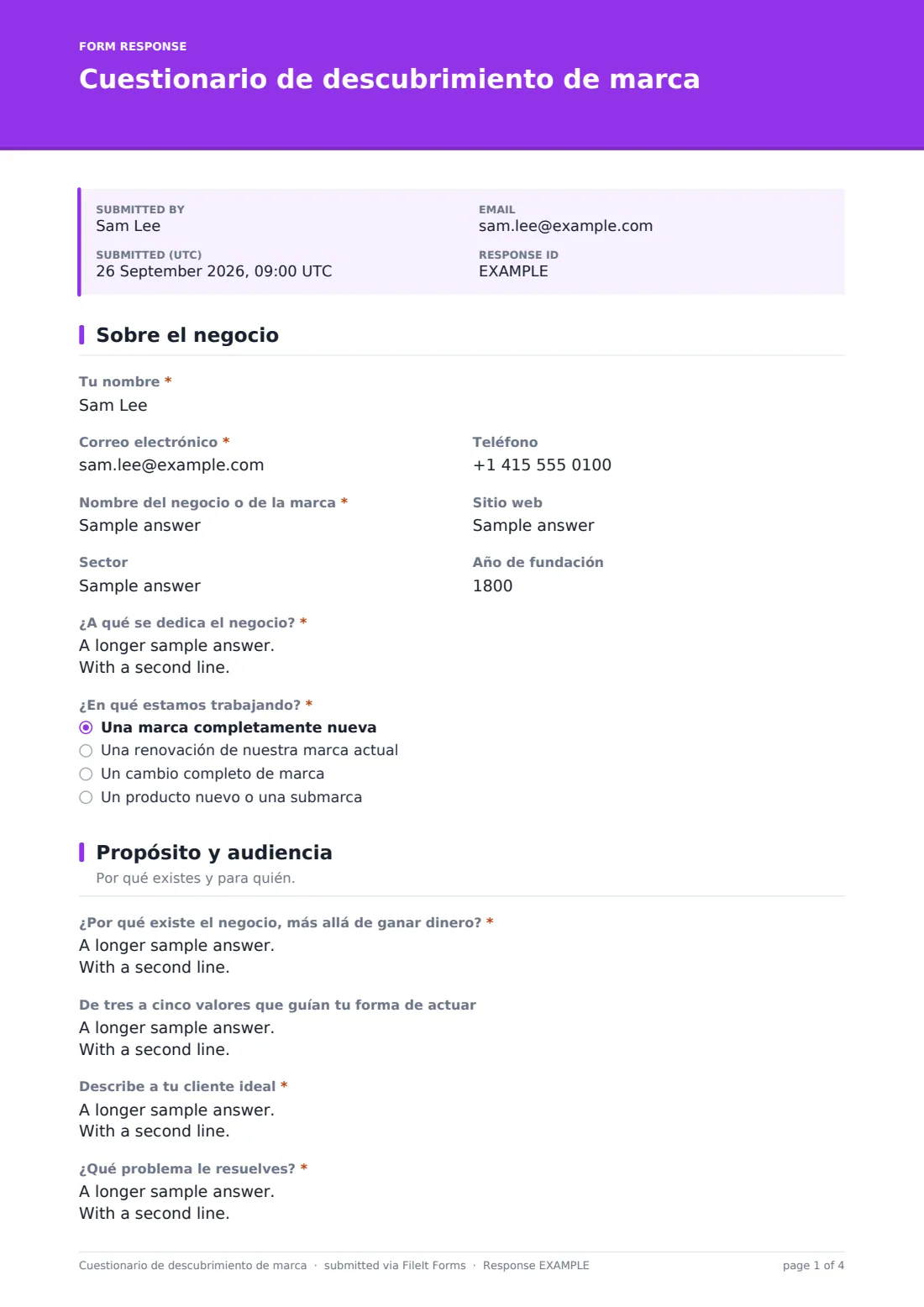Cuestionario de descubrimiento de marca — PDF de respuesta de ejemplo, página 1 de 4