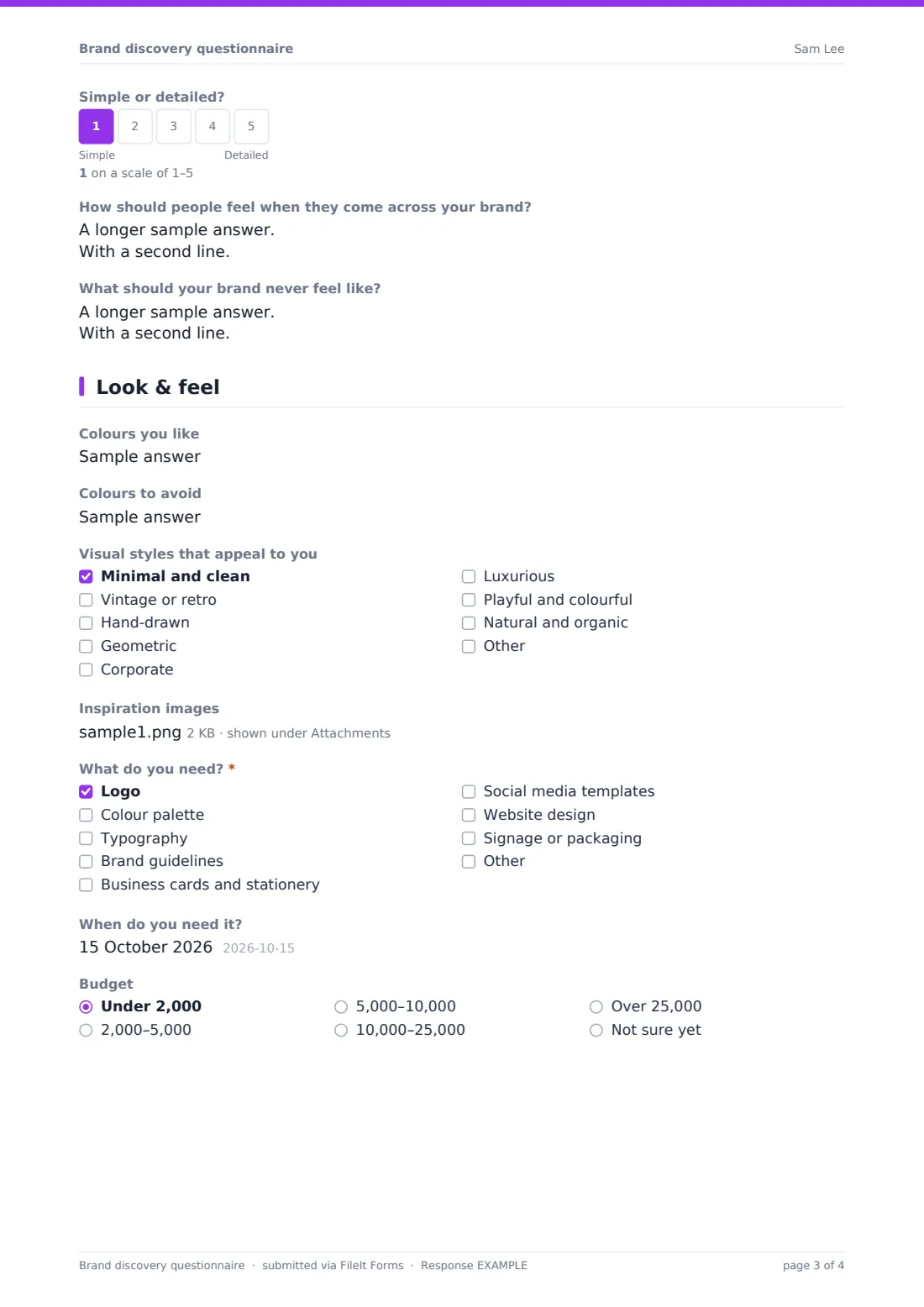 Brand discovery questionnaire — example response PDF, page 3 of 4