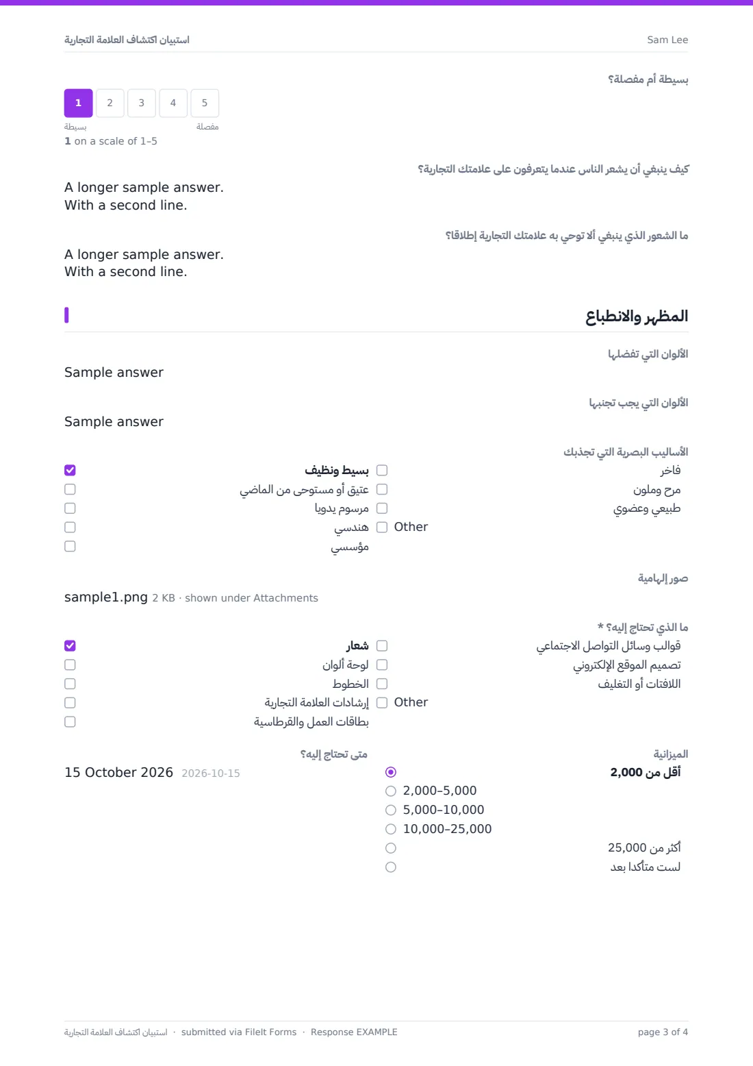 استبيان اكتشاف العلامة التجارية — ملف PDF لرد نموذجي، الصفحة 3 من 4
