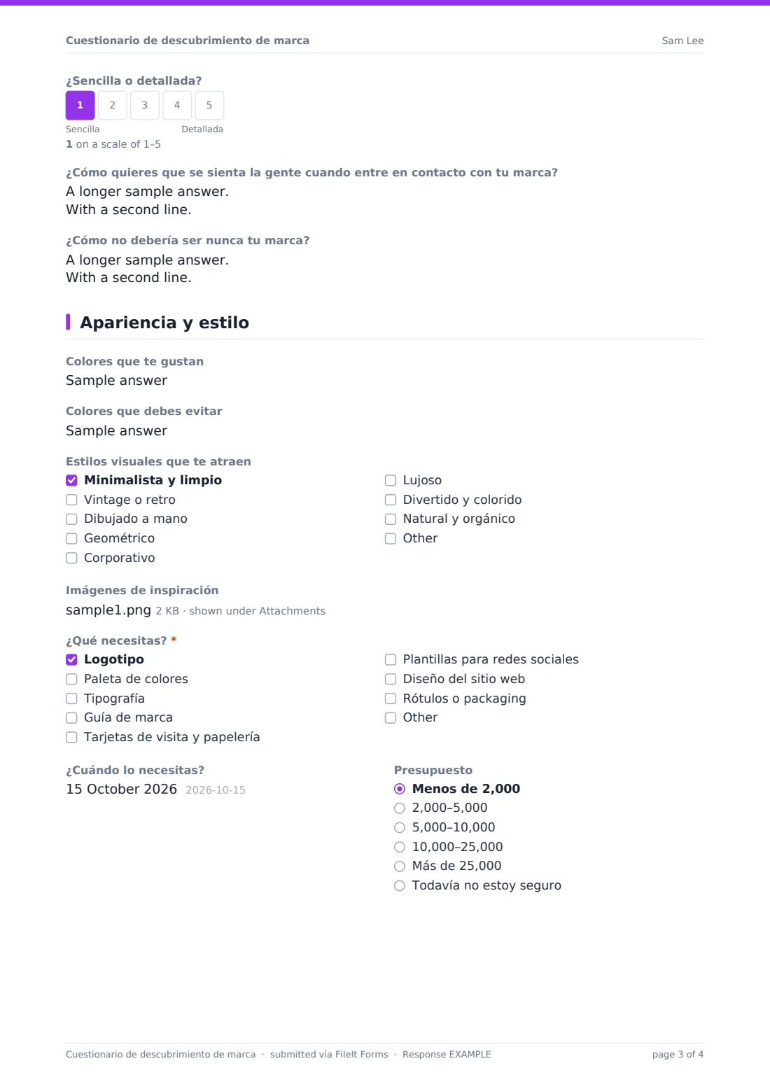 Cuestionario de descubrimiento de marca — PDF de respuesta de ejemplo, página 3 de 4