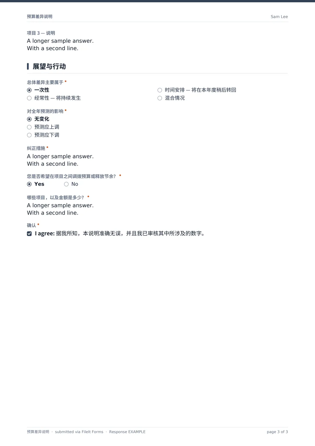 预算差异说明 — 示例回复 PDF，第 3 页，共 3 页