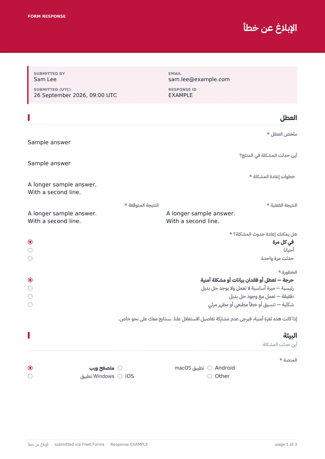 الإبلاغ عن خطأ — ملف PDF لرد نموذجي، الصفحة 1 من 3