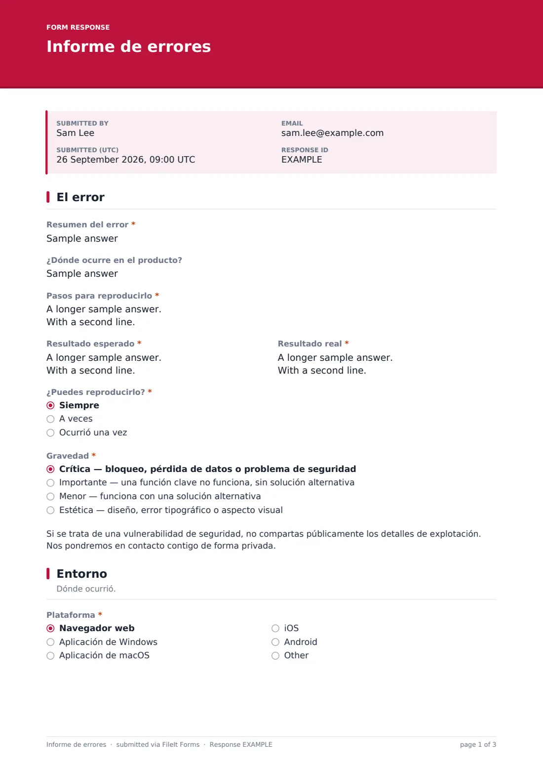 Informe de errores — PDF de respuesta de ejemplo, página 1 de 3
