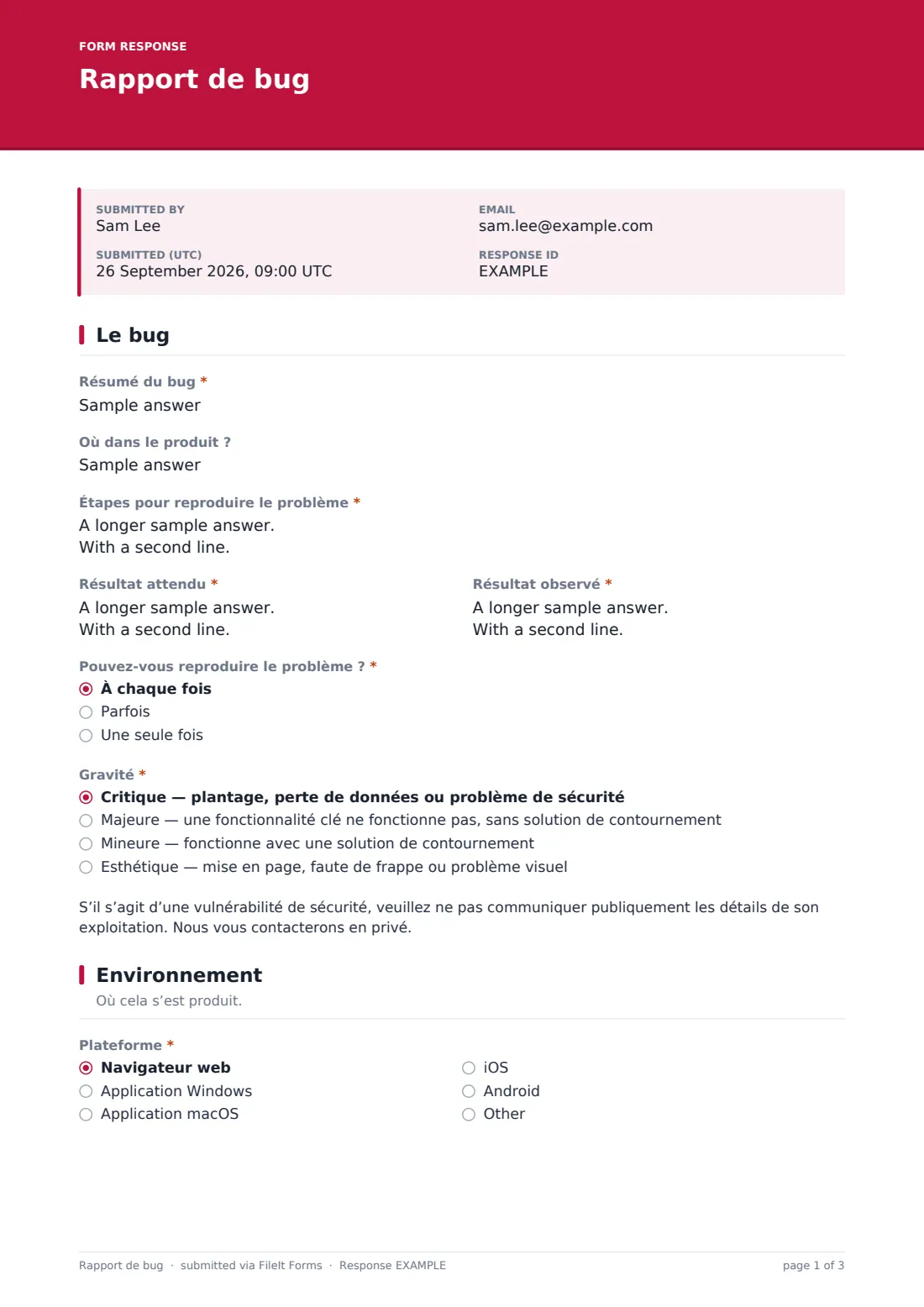 Rapport de bug — exemple de réponse au format PDF, page 1 sur 3