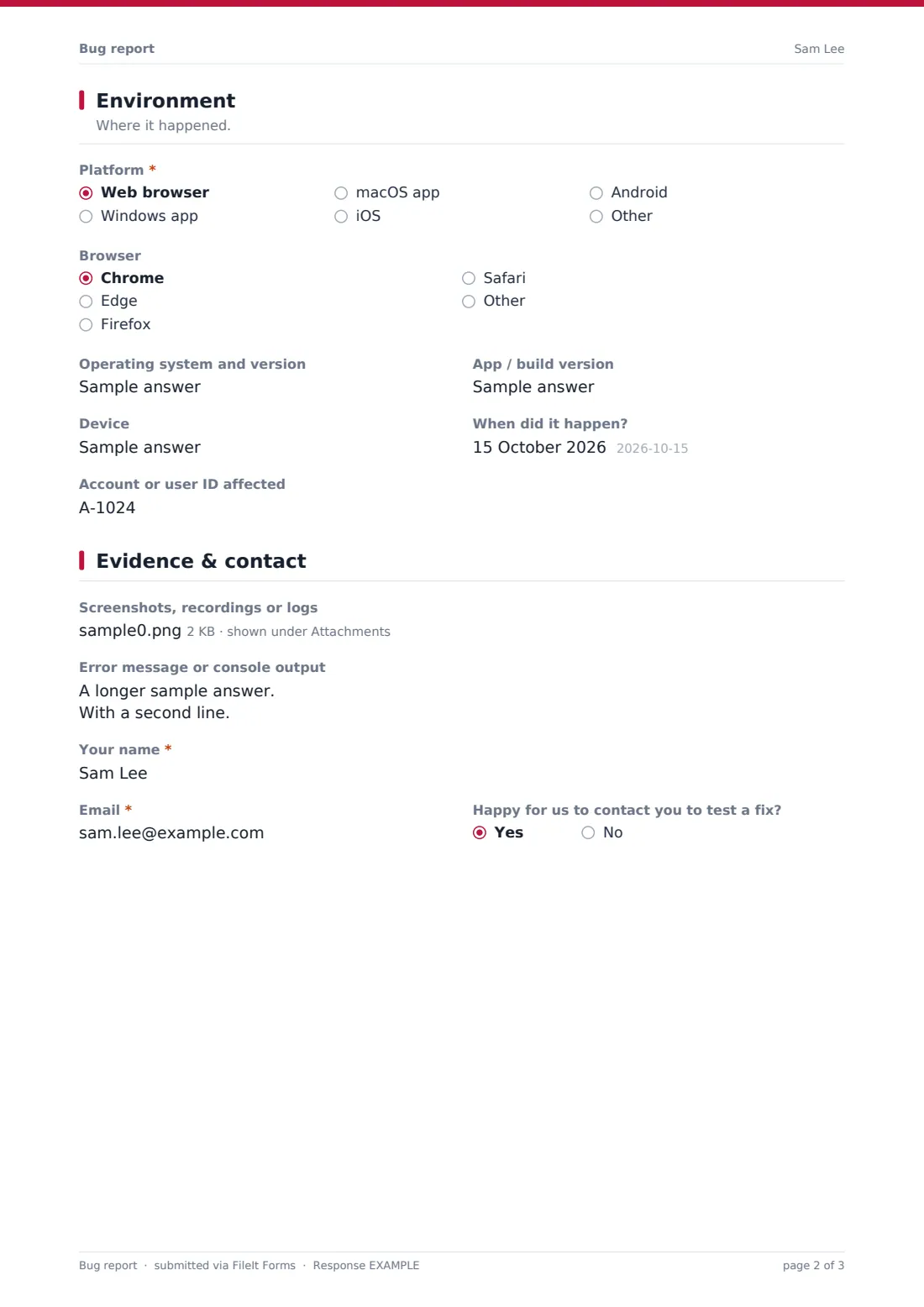 Bug report — example response PDF, page 2 of 3