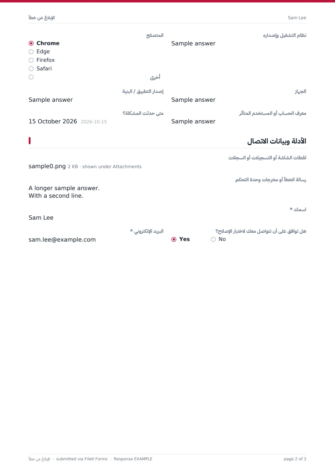 الإبلاغ عن خطأ — ملف PDF لرد نموذجي، الصفحة 2 من 3