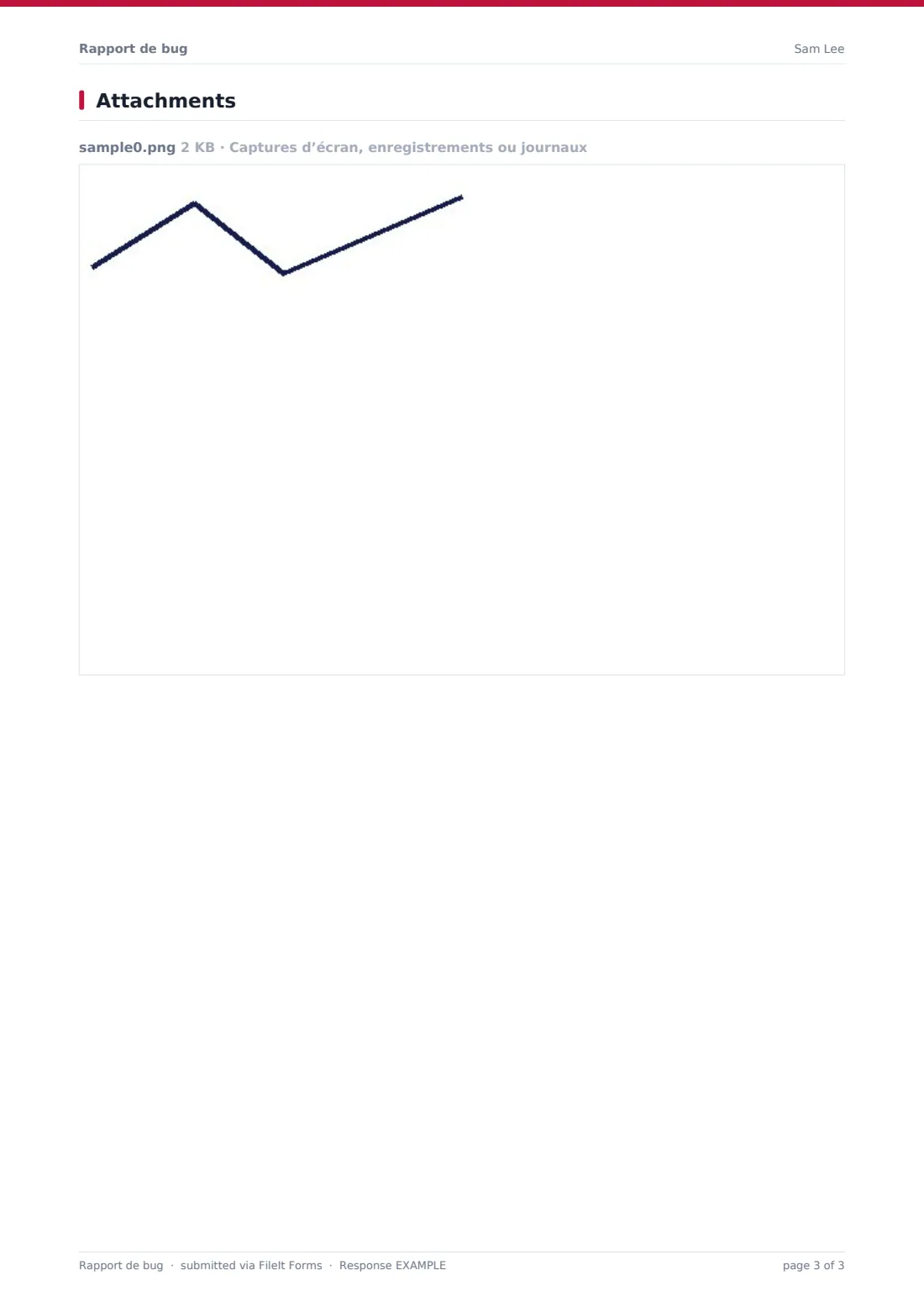 Rapport de bug — exemple de réponse au format PDF, page 3 sur 3