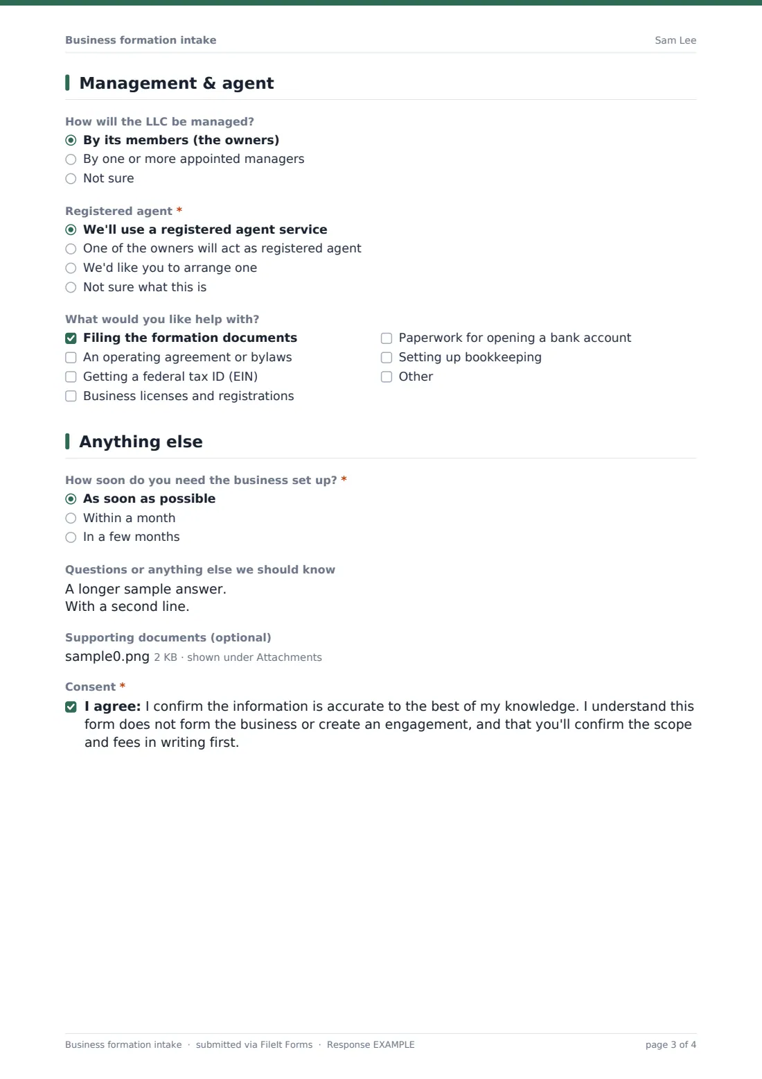 Business formation intake — example response PDF, page 3 of 4