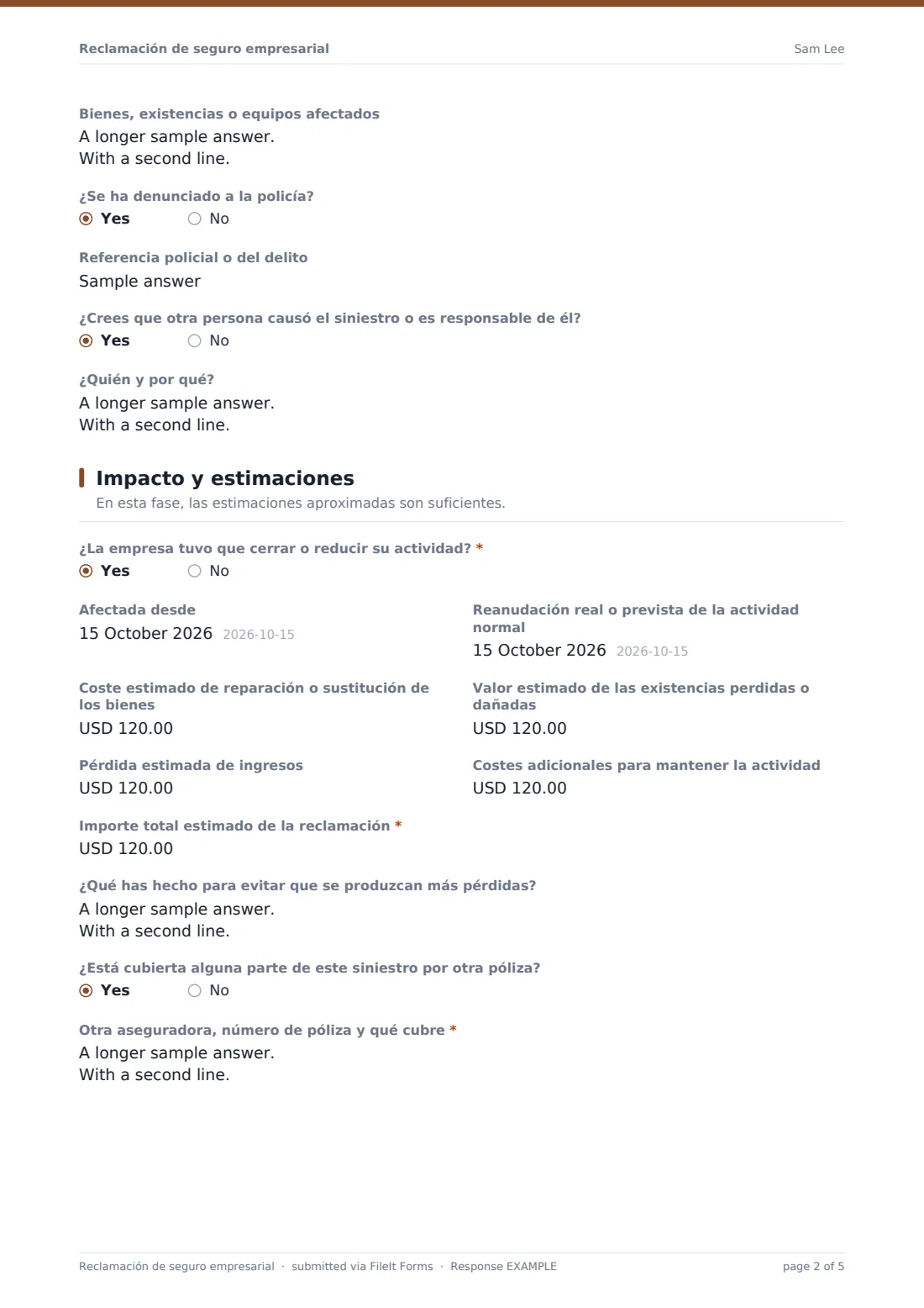 Reclamación de seguro empresarial — PDF de respuesta de ejemplo, página 2 de 5