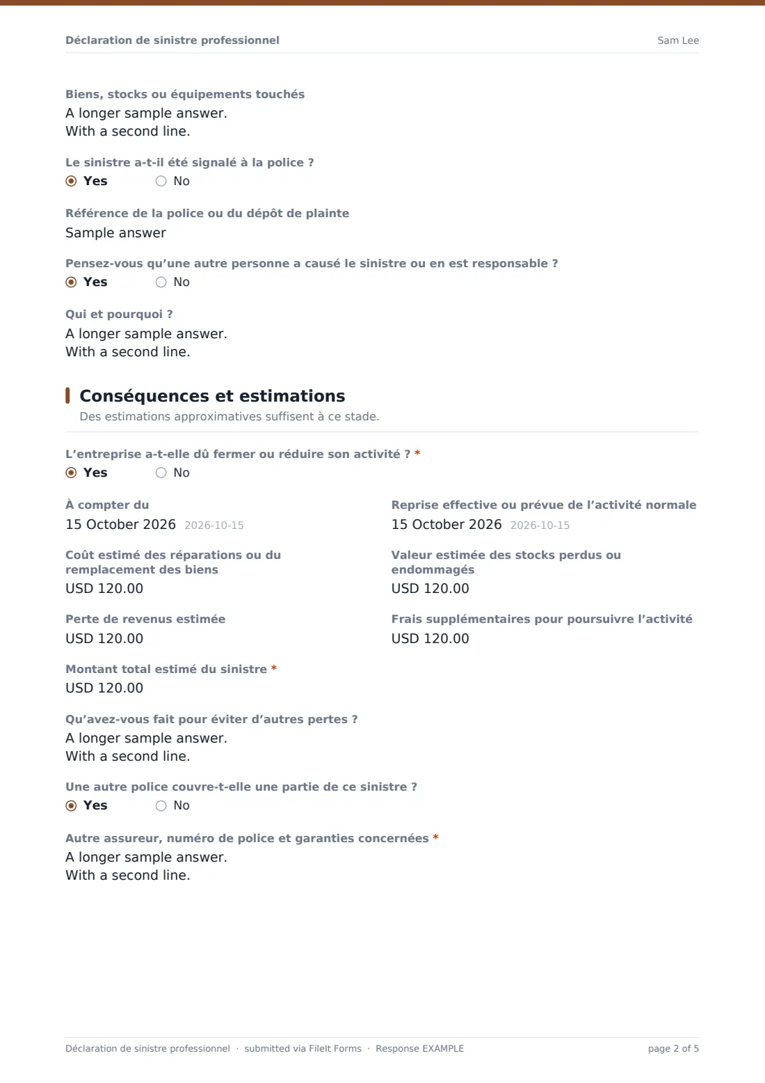 Déclaration de sinistre professionnel — exemple de réponse au format PDF, page 2 sur 5