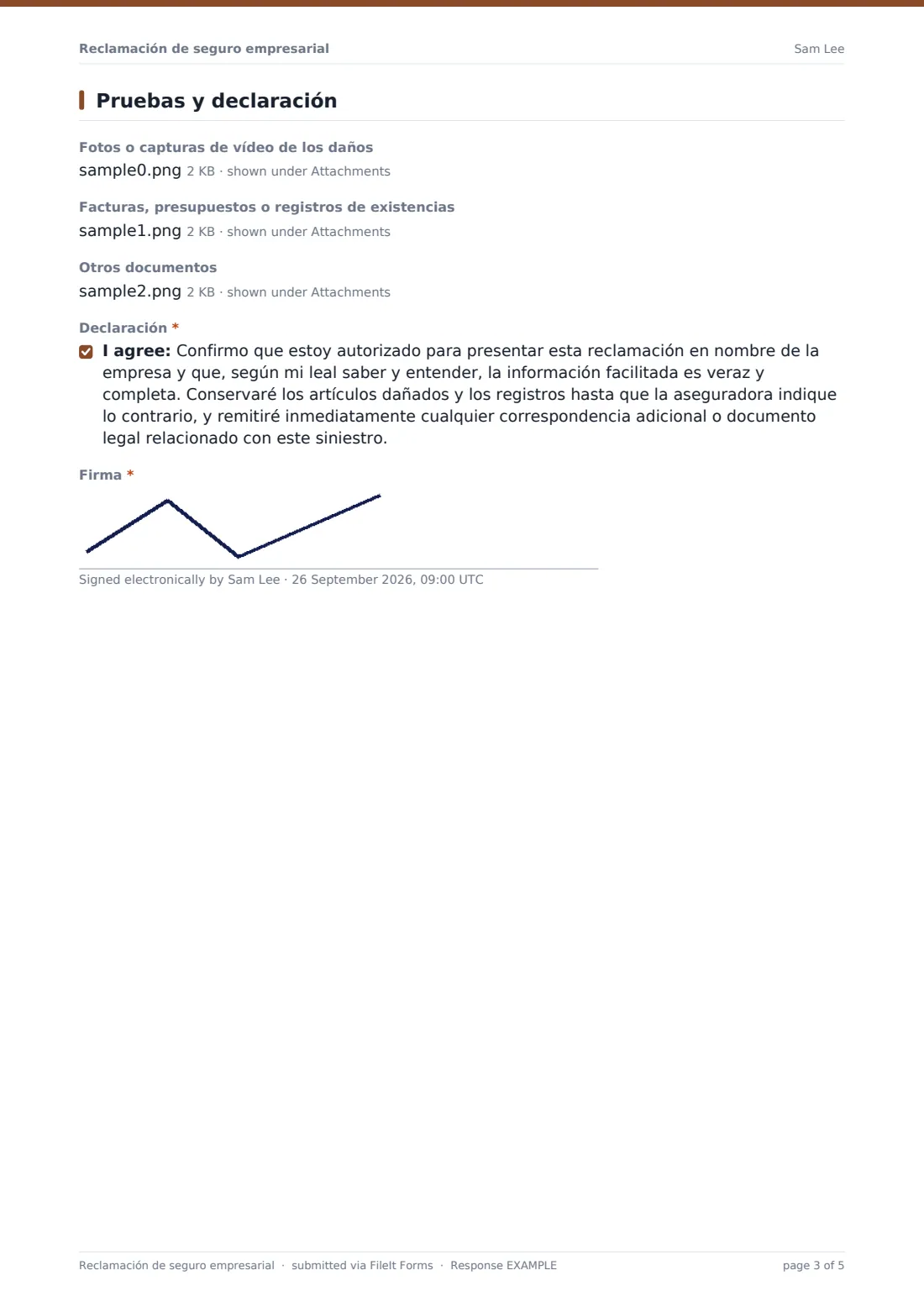 Reclamación de seguro empresarial — PDF de respuesta de ejemplo, página 3 de 5