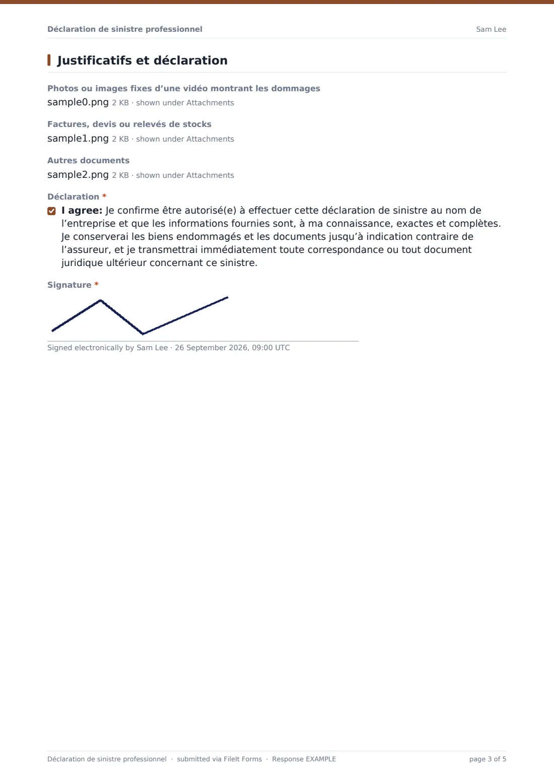 Déclaration de sinistre professionnel — exemple de réponse au format PDF, page 3 sur 5