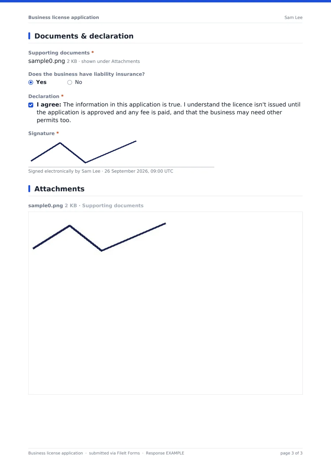 Business license application — example response PDF, page 3 of 3