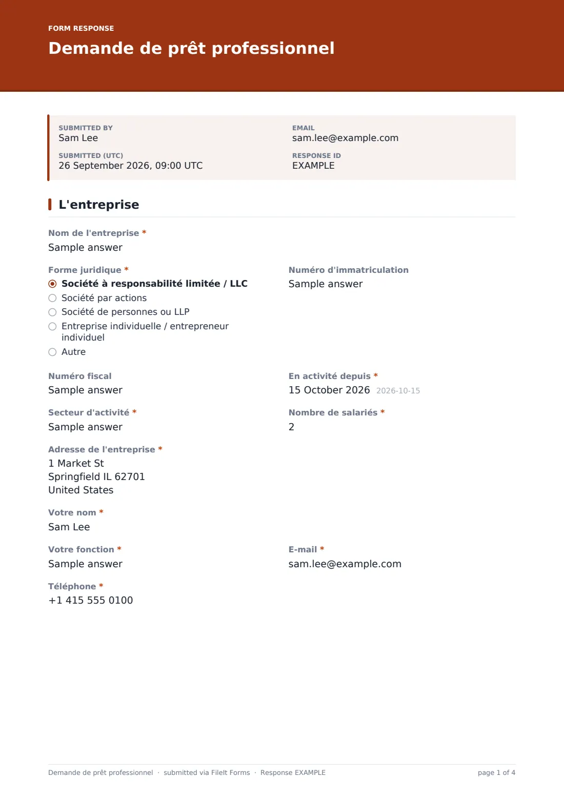 Demande de prêt professionnel — exemple de réponse au format PDF, page 1 sur 4