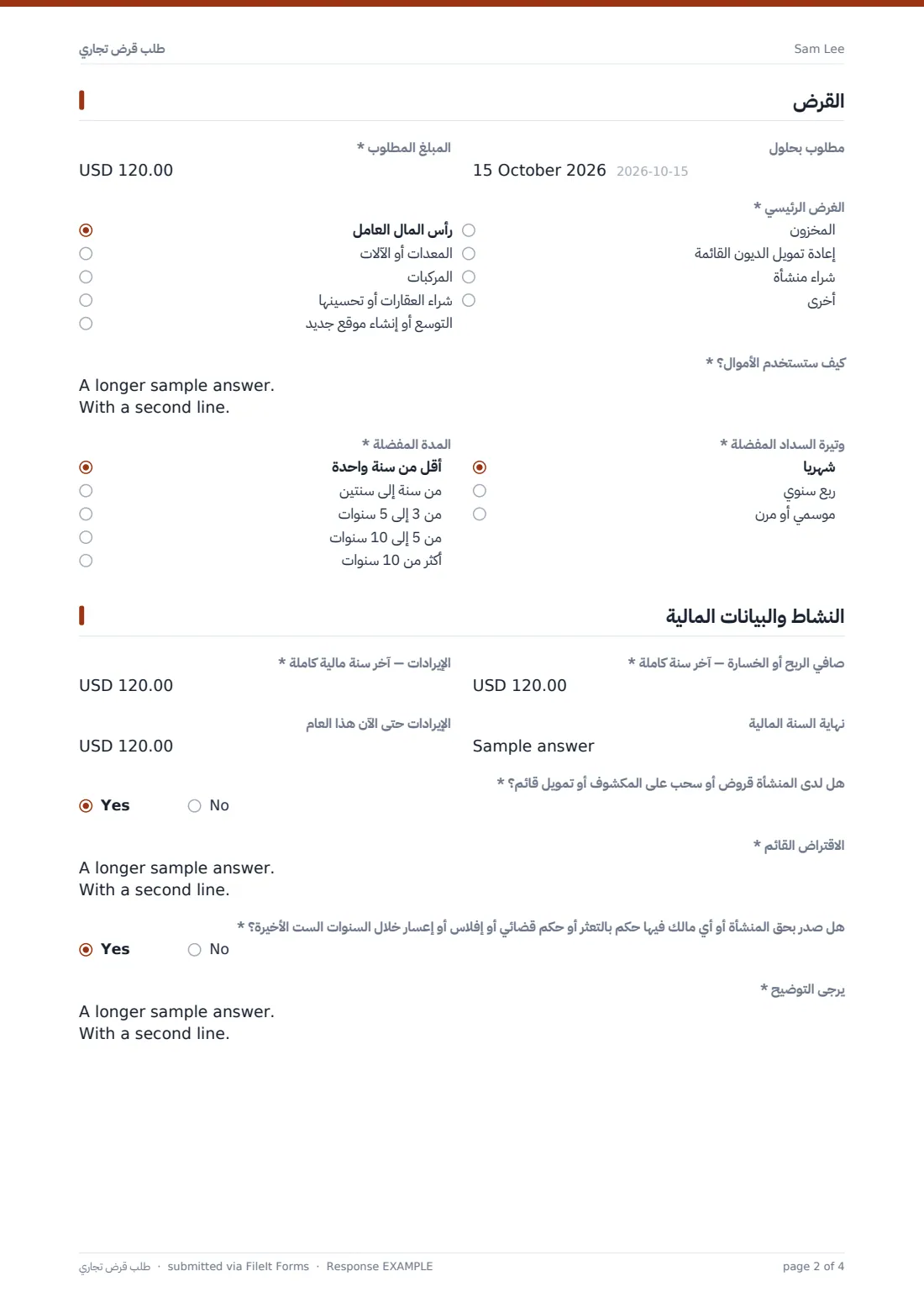 طلب قرض تجاري — ملف PDF لرد نموذجي، الصفحة 2 من 4