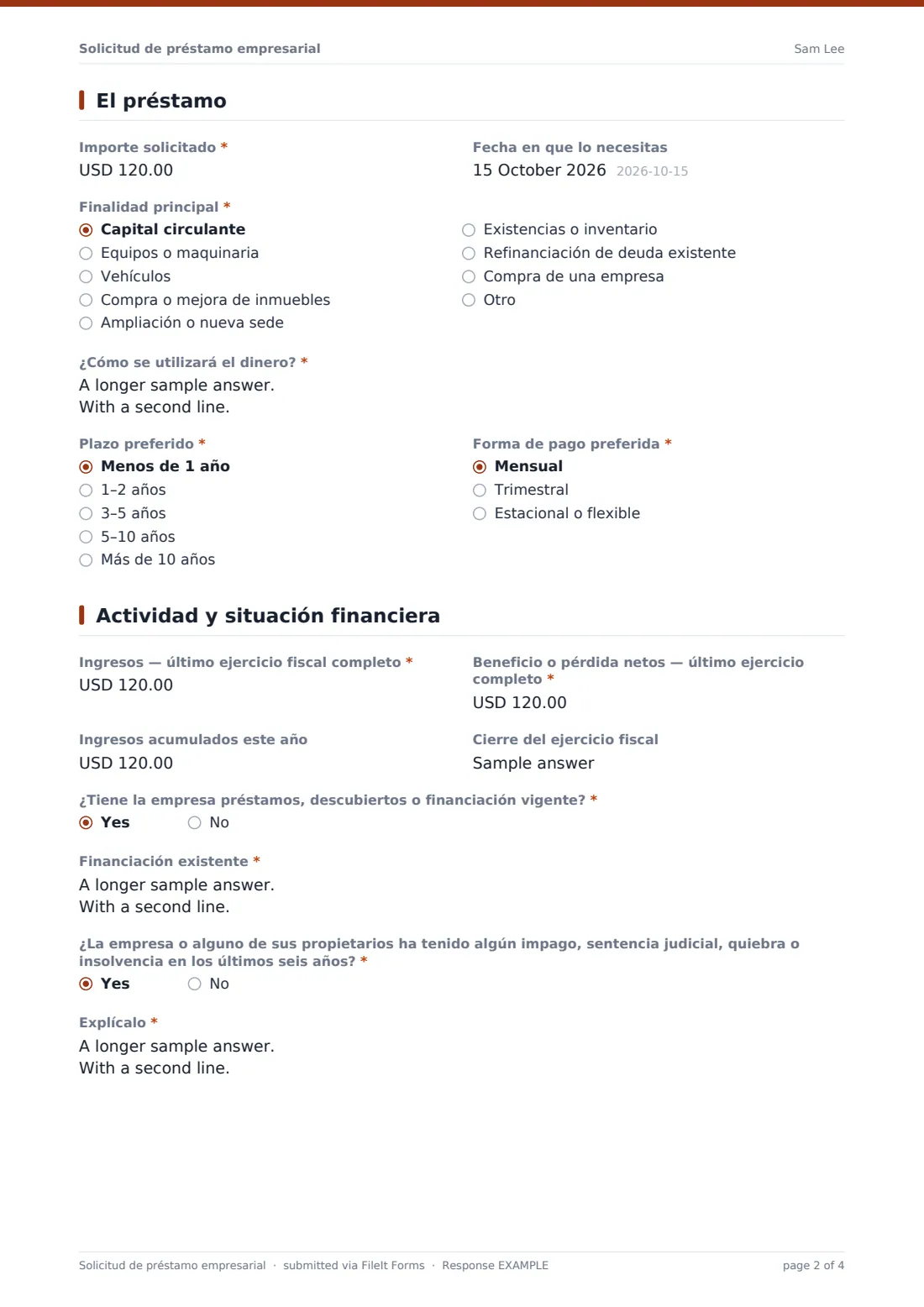 Solicitud de préstamo empresarial — PDF de respuesta de ejemplo, página 2 de 4