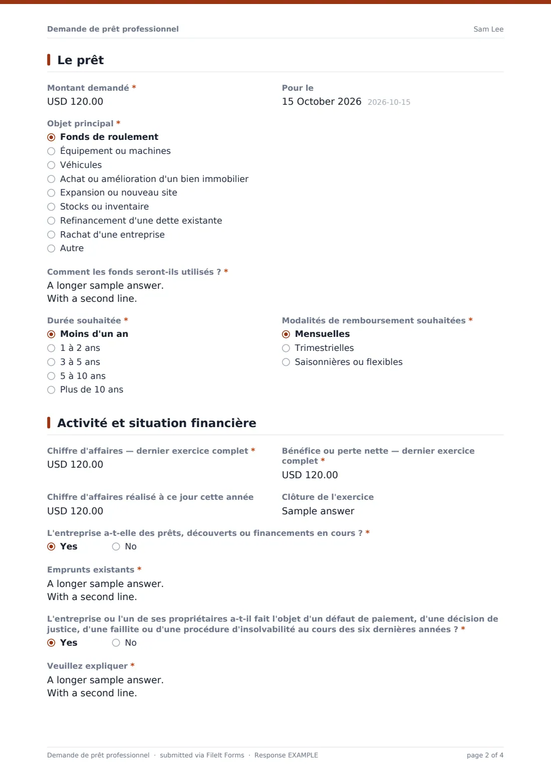 Demande de prêt professionnel — exemple de réponse au format PDF, page 2 sur 4