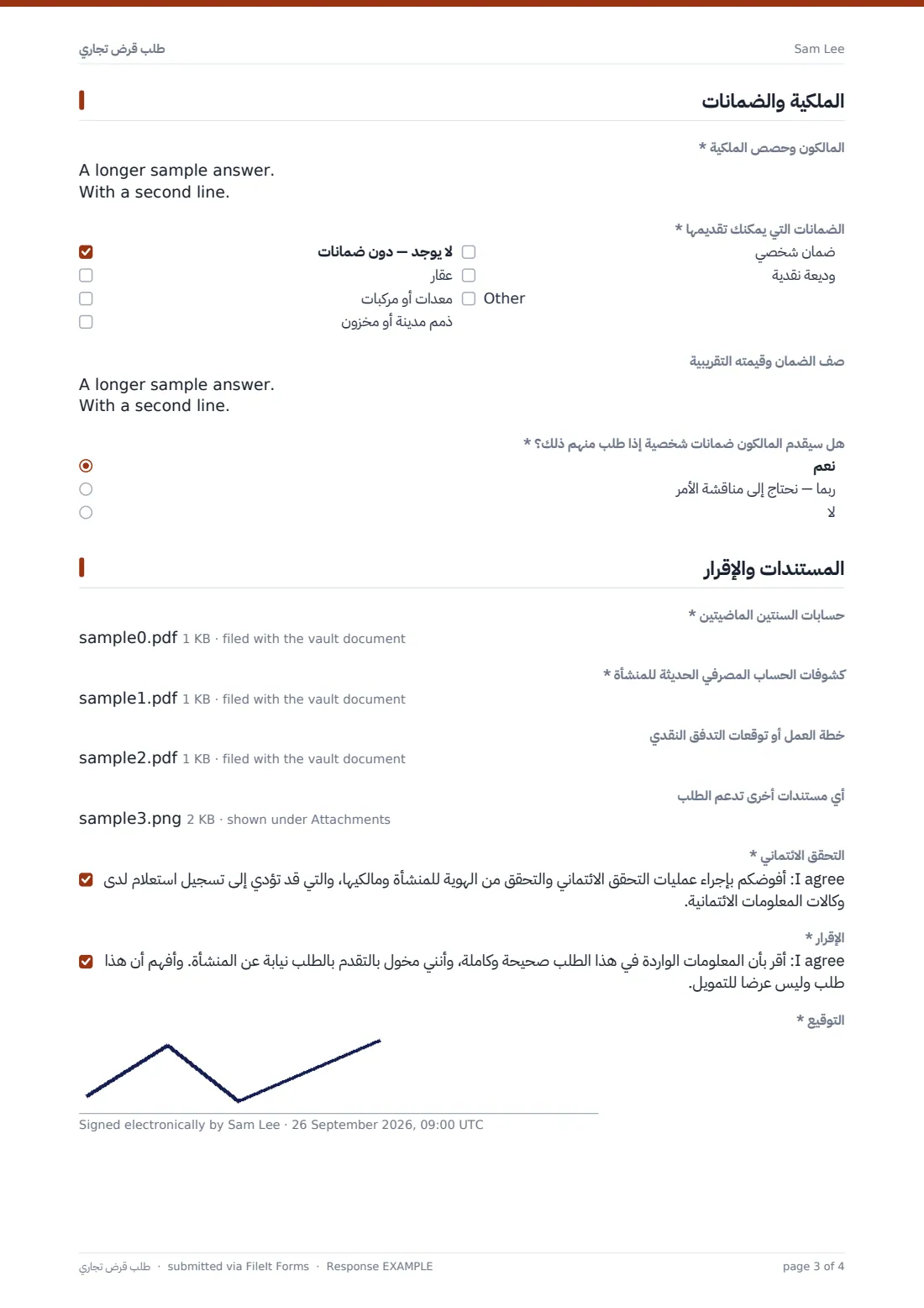 طلب قرض تجاري — ملف PDF لرد نموذجي، الصفحة 3 من 4