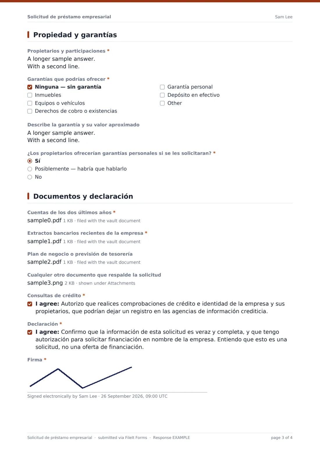 Solicitud de préstamo empresarial — PDF de respuesta de ejemplo, página 3 de 4
